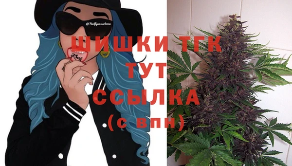 дживик Зерноград