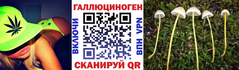 Купить закладки  Калязин  Галлюциногенные грибы мицелий 